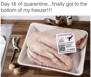freezer bottom.webp