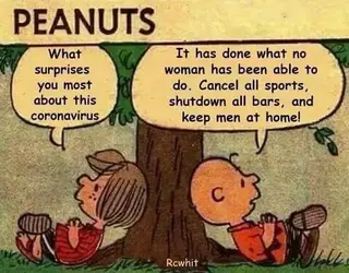 Peanuts coronavirus meme.webp
