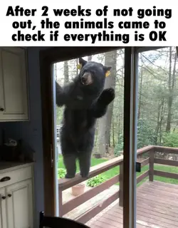 92144637_1217639241913993_8327380359272464384_o-690x884.webp