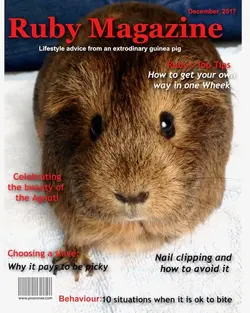 Order-9101-Ruby.webp
