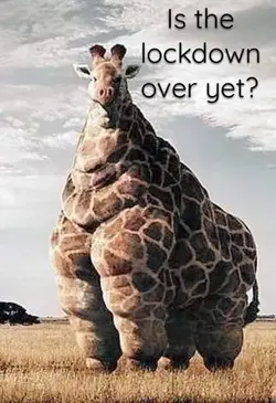 over yet.webp