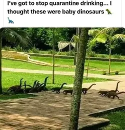 94259081_706208943542722_4768935478487416832_n.webp