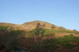1587994954860.webp