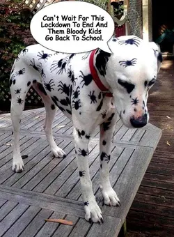 dotty.webp