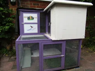 Hutch 2.JPG