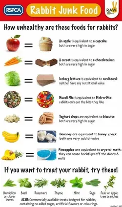 Rabbit junk food chart (RSPCA).jpg