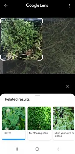 Screenshot_20200520-183923_Google.webp