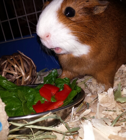 20141110_080255.webp