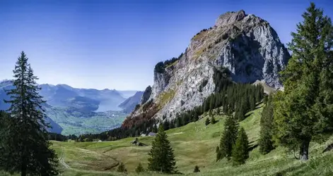 1590535004275.png