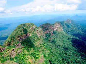 victoria-peak.webp