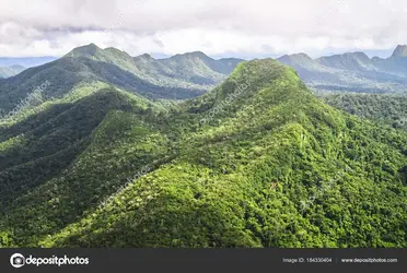 depositphotos_184330404-stock-photo-mountains-covered-with-pristine-primary.webp