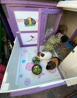 This Piggy Balcony 5 (2).webp This Piggy Balcony 5 (2).webp