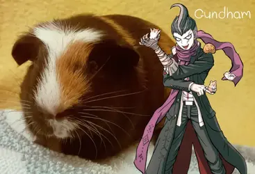 gundham.png.webp gundham.png.webp