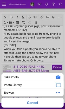 F3D4BC9F-C193-4870-A9CD-68D99963B789.webp