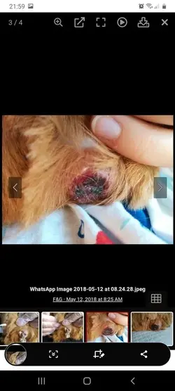 After squeezing.webp