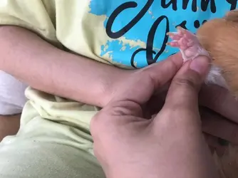 Cherrys_other_hand.jpeg