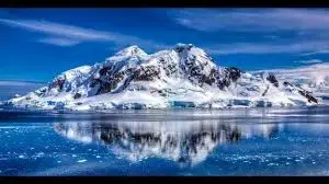 images (2).webp