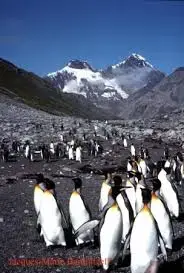images (5).webp