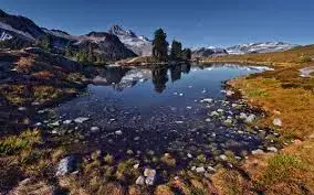 images (4).webp