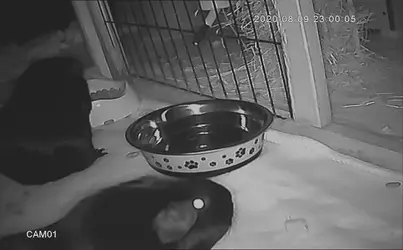 202008100000391597014039690.webp
