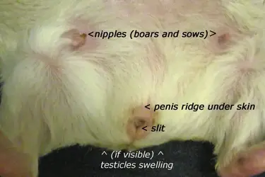 1598197824279.png