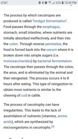 Screenshot_20200829-224505_Chrome.webp