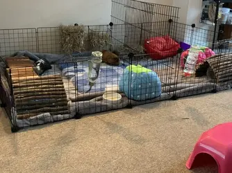 7E257E52-DF0E-47D5-A08D-E336475AD3A0.webp