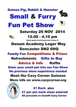 Cavy Corner Fun Day.webp