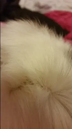 20141124_223014.webp