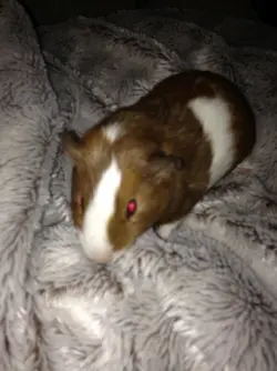 image-25-11-14-11-18-6.webp