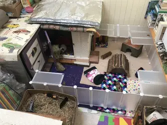 Piggy shed.jpg
