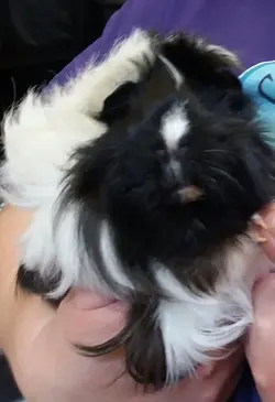20190324_142724-1.webp