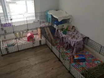 20200919_115405_HDR.webp