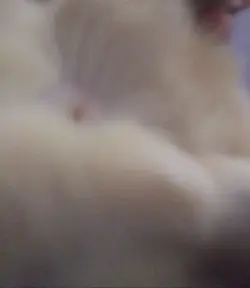 20200926_103705.png
