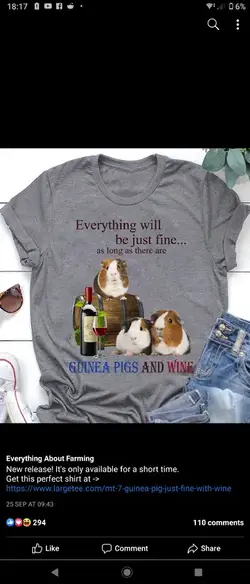 guineapigswine.webp