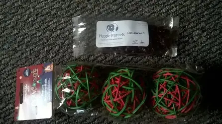 pigmas 1.webp pigmas 1.webp