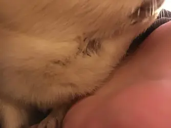 Coconut Fur Loss (4).webp