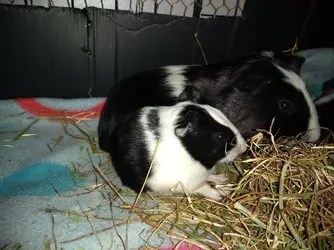 IMG_20201206_174327087.webp