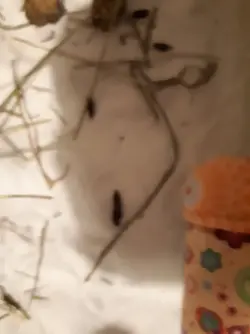 20201212_215753.webp