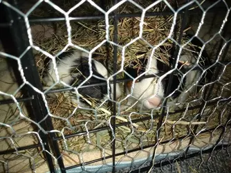 IMG_20201222_115117336.webp
