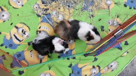 20201226_125557.webp