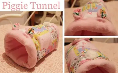 Piggie Tunnel.webp