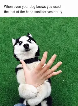 1610467051969.webp