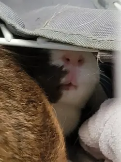 20201031_150927.webp 20201031_150927.webp