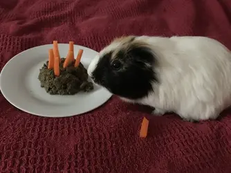 1612173014927.jpeg