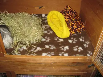 Hutch with vet bed 1.webp