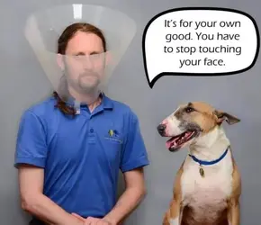1613082734123.png