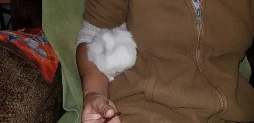 20191213_185342.webp