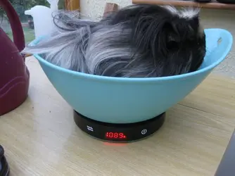 1617041450084.png 1617041450084.png