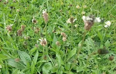 _20190616_190012.webp